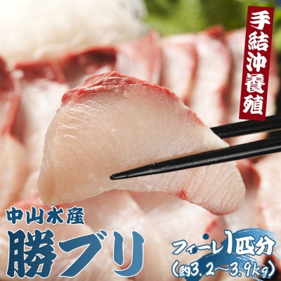 ぶり フィレ 約3.2kg～3.9kg 手結沖養殖「勝ブリ」 ny-0011