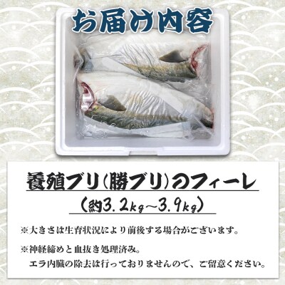 ぶり フィレ 約3.2kg～3.9kg 手結沖養殖「勝ブリ」 ny-0011