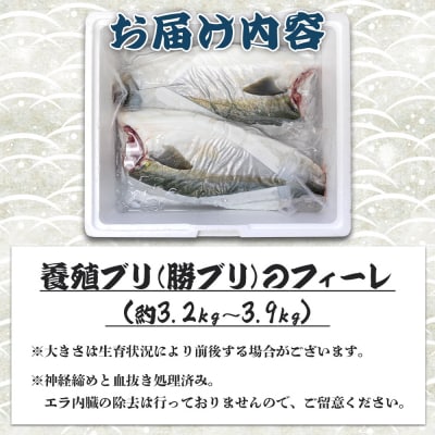 ぶり フィレ 約3.2kg～3.9kg 手結沖養殖「勝ブリ」 ny-0011