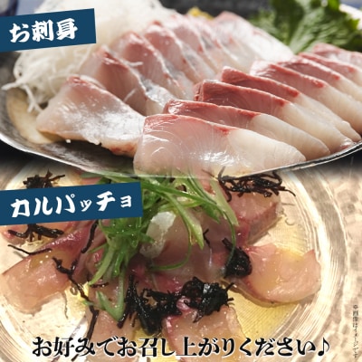 【先行受付】カンパチ 1匹 手結沖養殖 3.5kg～4kg - かんぱち 刺身 ny-0005