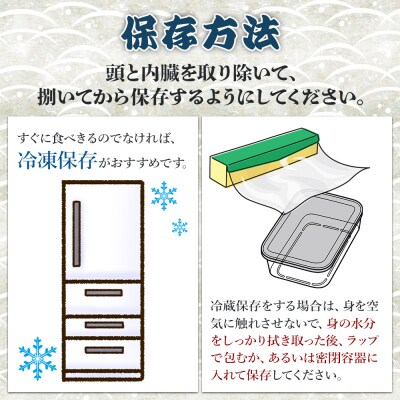「カンパチ」 1匹 手結沖養殖 3.5kg～4kg ny-0005