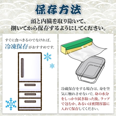 【先行受付】カンパチ 1匹 手結沖養殖 3.5kg～4kg - かんぱち 刺身 ny-0005