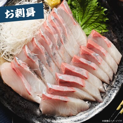 「カンパチ」 フィレ 約2.2kg～2.6Kg ny-0008