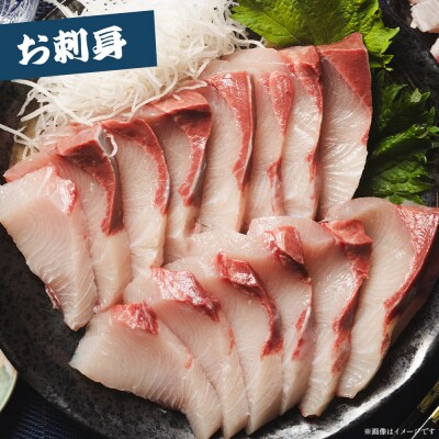 【2回定期便】ブリ 1匹(5kg～6kg) 手結沖養殖 Wny-0012