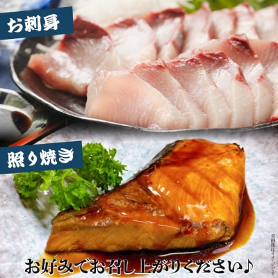 【3回定期便】ブリ 1匹(5kg～6kg) 手結沖養殖 Wny-0013