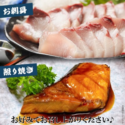 【3回定期便】ブリ 1匹(5kg～6kg) 手結沖養殖 Wny-0016