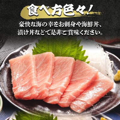 【7日程度で発送】本まぐろ 中トロ 約500g 2冊 養殖 本鮪 ブロック oo-0019