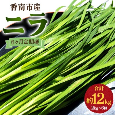 香南市のニラ 2kg 6ヶ月定期便 合計12kg Won-0018