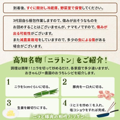 香南市のニラ 2kg 6ヶ月定期便 合計12kg Won-0018