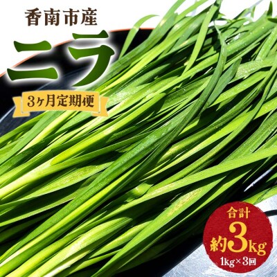 香南市のニラ 1kg 3ヶ月定期便 合計3kg Won-0015