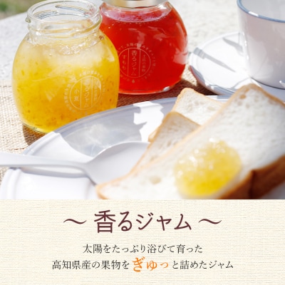 ジャム詰め合わせ 香るジャム(山桃・小夏・ゆず・すもも・文旦・黒ぶどう) 6個 浜幸 ho-0002
