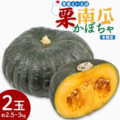 かぼちゃ 南瓜 2玉 約2.5～3kg 冬至といえば栗かぼちゃ 冬限定 sy-0008