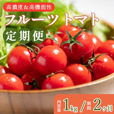 【第3回 全国ミニトマト選手権 [銅賞]】甘美の舞 フルーツトマト 定期便 Wkr-0031