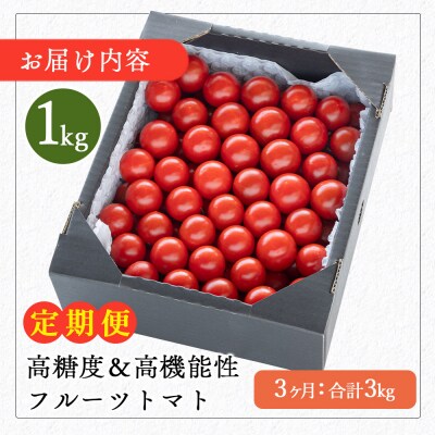 フルーツトマト 高糖度 定期便 高機能性 1kg 3カ月定期便 合計3kg Wkr-0032