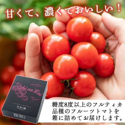 トマト 高糖度&高機能性 フルーツトマト 2kg 3カ月定期便 合計6kg Wkr-0035