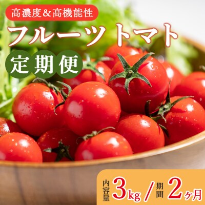高糖度&高機能性 フルーツトマト 3kg 2カ月定期便 合計6kg Wkr-0037