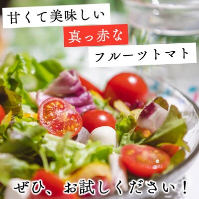 高糖度&高機能性 フルーツトマト 3kg 2カ月定期便 合計6kg Wkr-0037