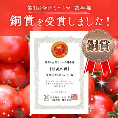 高糖度&高機能性 フルーツトマト 3kg 2カ月定期便 合計6kg Wkr-0037