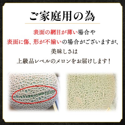 【訳あり】赤肉メロン 青肉メロン 2玉 赤青セット tn-0026