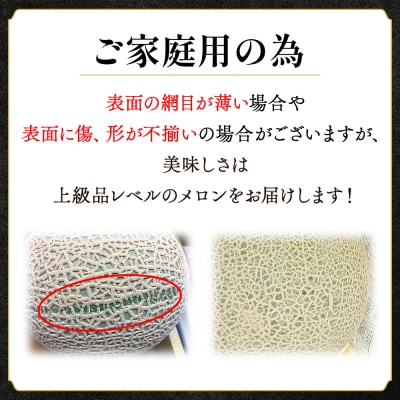 【訳あり】赤肉メロン 青肉メロン 2玉 赤青セット tn-0026