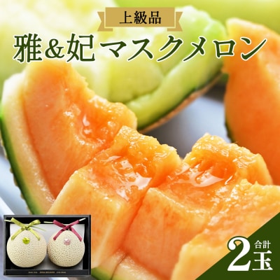 【上級品】赤肉メロン 青肉メロン 合計2玉  tn-0027