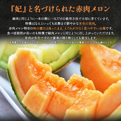 【上級品】赤肉メロン 青肉メロン 合計2玉  tn-0027