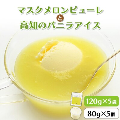 マスクメロンピューレと高知のバニラアイス 5個セット tn-0021