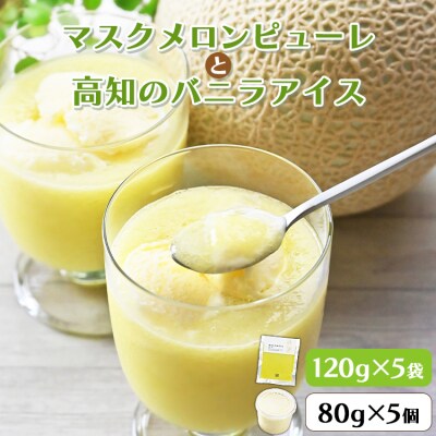 マスクメロンピューレと高知のバニラアイス 5個セット tn-0021