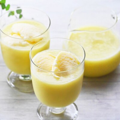 マスクメロンピューレと高知のバニラアイス 5個セット tn-0021