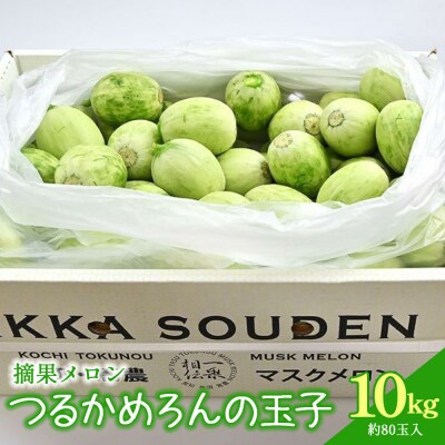 つるかめろんの玉子(摘果メロン) 10kg 約80玉 tn-0017