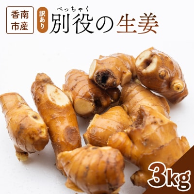 【通年出荷】生姜 家庭用 3kg 別役の生姜 高知 bc-0005