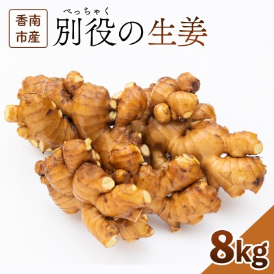 【通年出荷】生姜 8kg 別役の生姜 高知 bc-0016