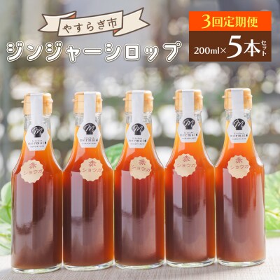 【3回定期便】ジンジャーシロップ 200ml×5本 生姜シロップ やすらぎ市 Wyr-0131