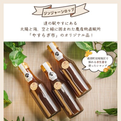 【3回定期便】ジンジャーシロップ 200ml×5本 生姜シロップ やすらぎ市 Wyr-0131