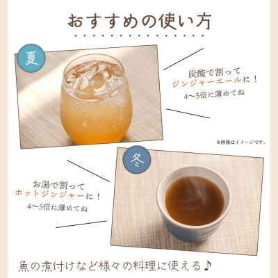【3回定期便】ジンジャーシロップ 200ml×5本 生姜シロップ やすらぎ市 Wyr-0131