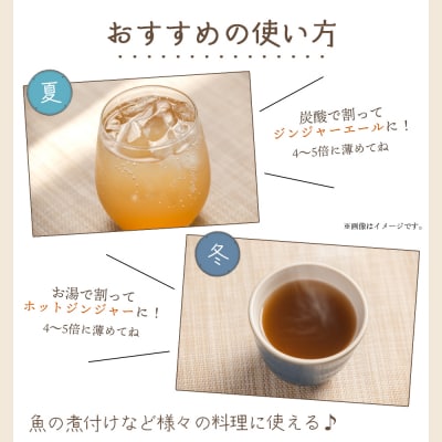 【4回定期便】ジンジャーシロップ 200ml×5本 生姜シロップ やすらぎ市  Wyr-0057