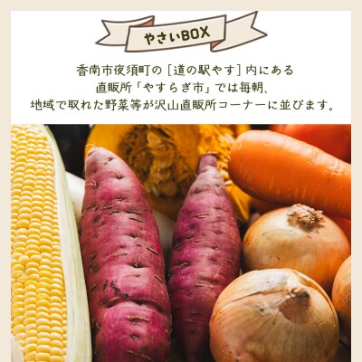 野菜 定期便 人気 2回定期便 やさいBOX(5種類前後) やすらぎ市 産地直送 Wyr-0028