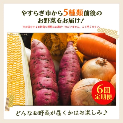 野菜 定期便 人気 6回定期便 やさいBOX(5種類前後) やすらぎ市 産地直送 Wyr-0032