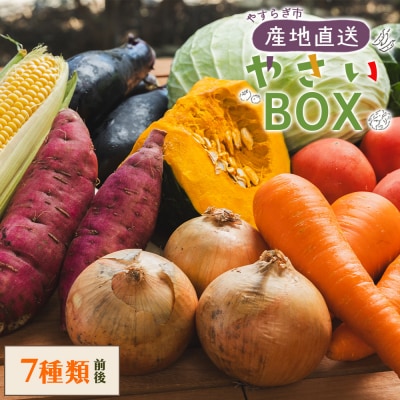 野菜 野菜セット 7種類前後 やさいBOX やすらぎ市 産地直送 yr-0033