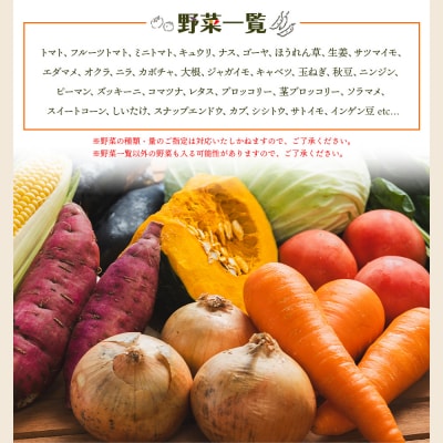 野菜 野菜セット 5種類前後 やさいBOX やすらぎ市 産地直送 yr-0027