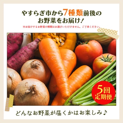 野菜 定期便 人気 5回定期便 やさいBOX(7種類前後) やすらぎ市 産地直送 Wyr-0037 