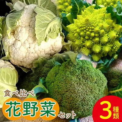 【先行受付】野菜 食べ比べセット ブロッコリー カリフラワー ロマネスコ 全3種 sy-0007