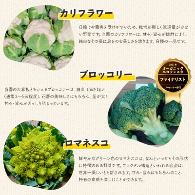 【先行受付】野菜 食べ比べセット ブロッコリー カリフラワー ロマネスコ 全3種 sy-0007