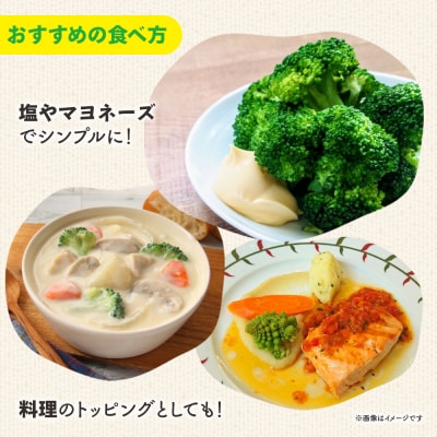 【先行受付】野菜 食べ比べセット ブロッコリー カリフラワー ロマネスコ 全3種 sy-0007