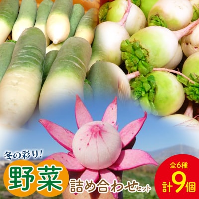 白菜 漬物 定番 冬の彩り野菜セット(白菜、カブ、 大根)  sy-0009