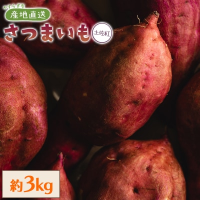 【8月発送開始】さつまいも(土佐紅)3kg yr-0043