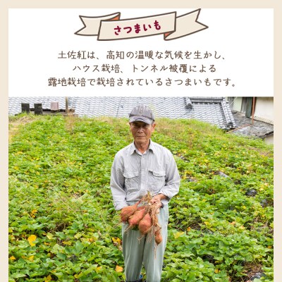 【8月発送開始】さつまいも(土佐紅)3kg yr-0043