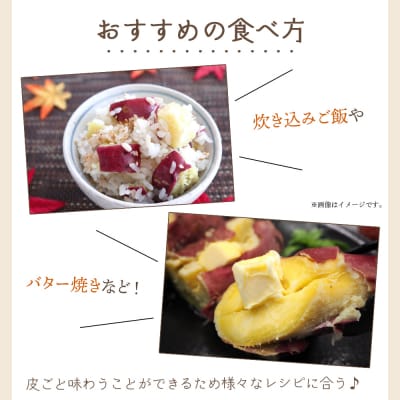 【8月発送開始】さつまいも(土佐紅)3kg yr-0043