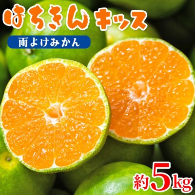 【秀品】みかん 5kg 小玉 はちきんキッス(雨よけみかん) 先行受付 ku-0040