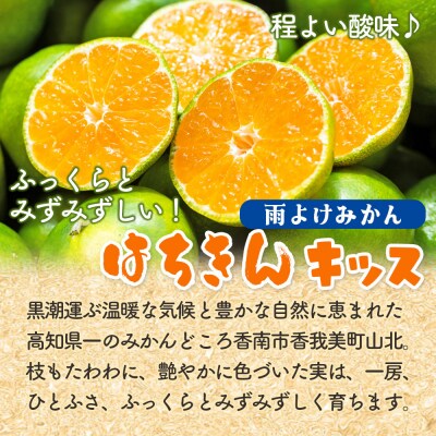【秀品】みかん 5kg 小玉 はちきんキッス(雨よけみかん) 先行受付 ku-0040